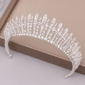 Zircon - Inlaid Silver Crown