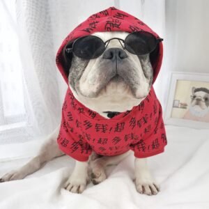 Funny Pet Sunglasses for Costumes & Photos