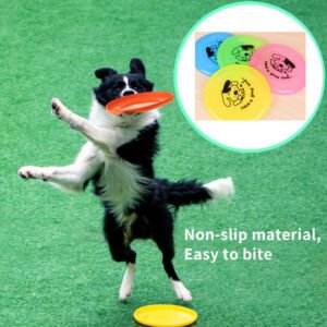 Colorful Dog Frisbee Toy