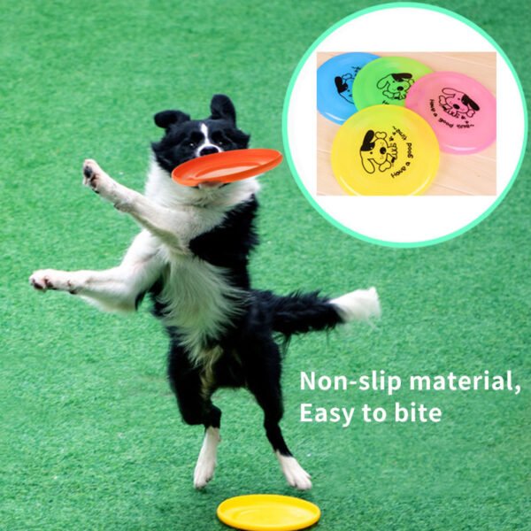 Colorful Dog Frisbee Toy